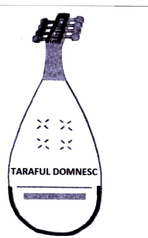 TARAFUL DOMNESC