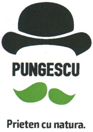 PUNGESCU Prieten cu natura.