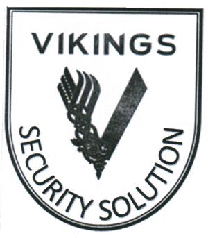 VIKINGS SECURITY SOLUTION