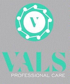 V VALS PROFESSIONAL CARE