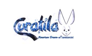 Curatila "American Dream-ul" curateniei