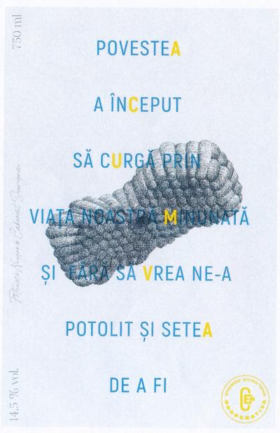 POVESTEA A ÎNCEPUT SĂ CURGĂ PRIN VIAȚA NOASTRĂ MINUNATĂ ȘI FĂRĂ SĂ VREA NE-A POTOLIT ȘI SETEA DE A FI ACUMVA