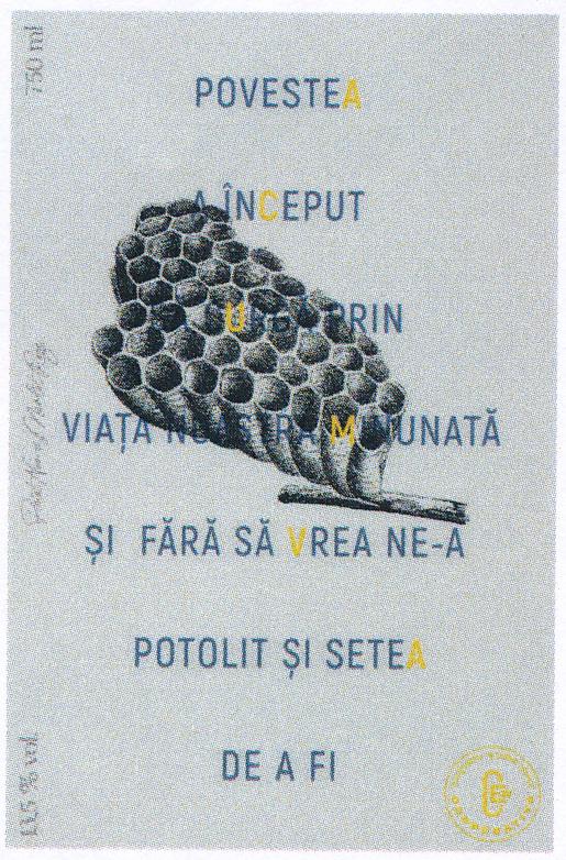 POVESTEA A ÎNCEPUT SĂ CURGĂ PRIN VIAȚA NOASTRĂ MINUNATĂ ȘI FĂRĂ SĂ VREA NE-A POTOLIT ȘI SETEA DE A FI ACUMVA