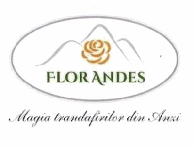 FLORANDES Magia trandafirilor din Anzi