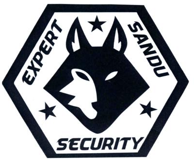 EXPERT SANDU SECURITY