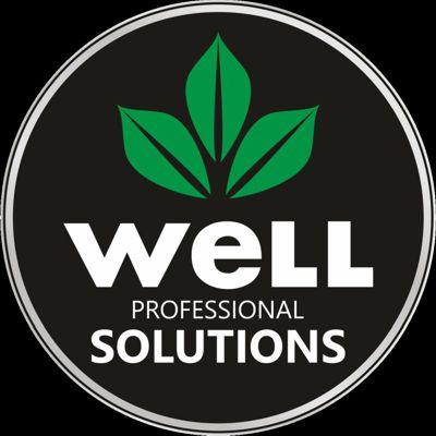 WELL PROFESSIONAL SOLUTIONS
