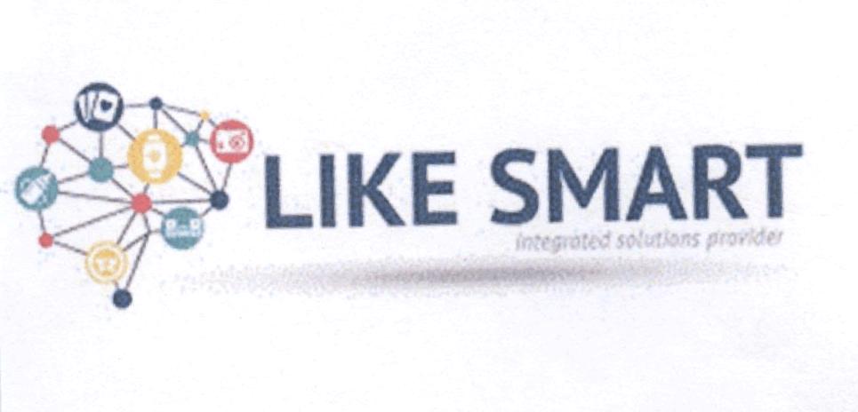 LIKE SMART integrated solutions provider