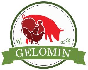 GELOMIN