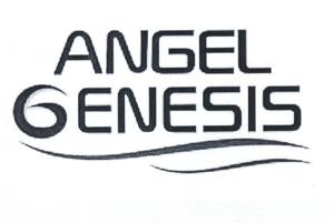 ANGEL GENESIS