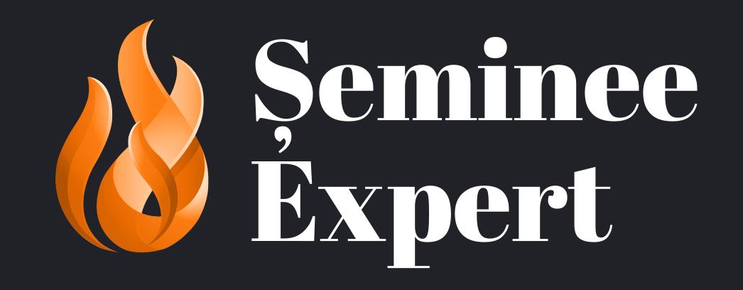 Șeminee Expert