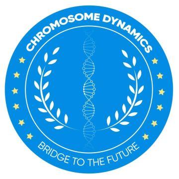 CHROMOSOME DYNAMICS BRIDGE TO THE FUTURE