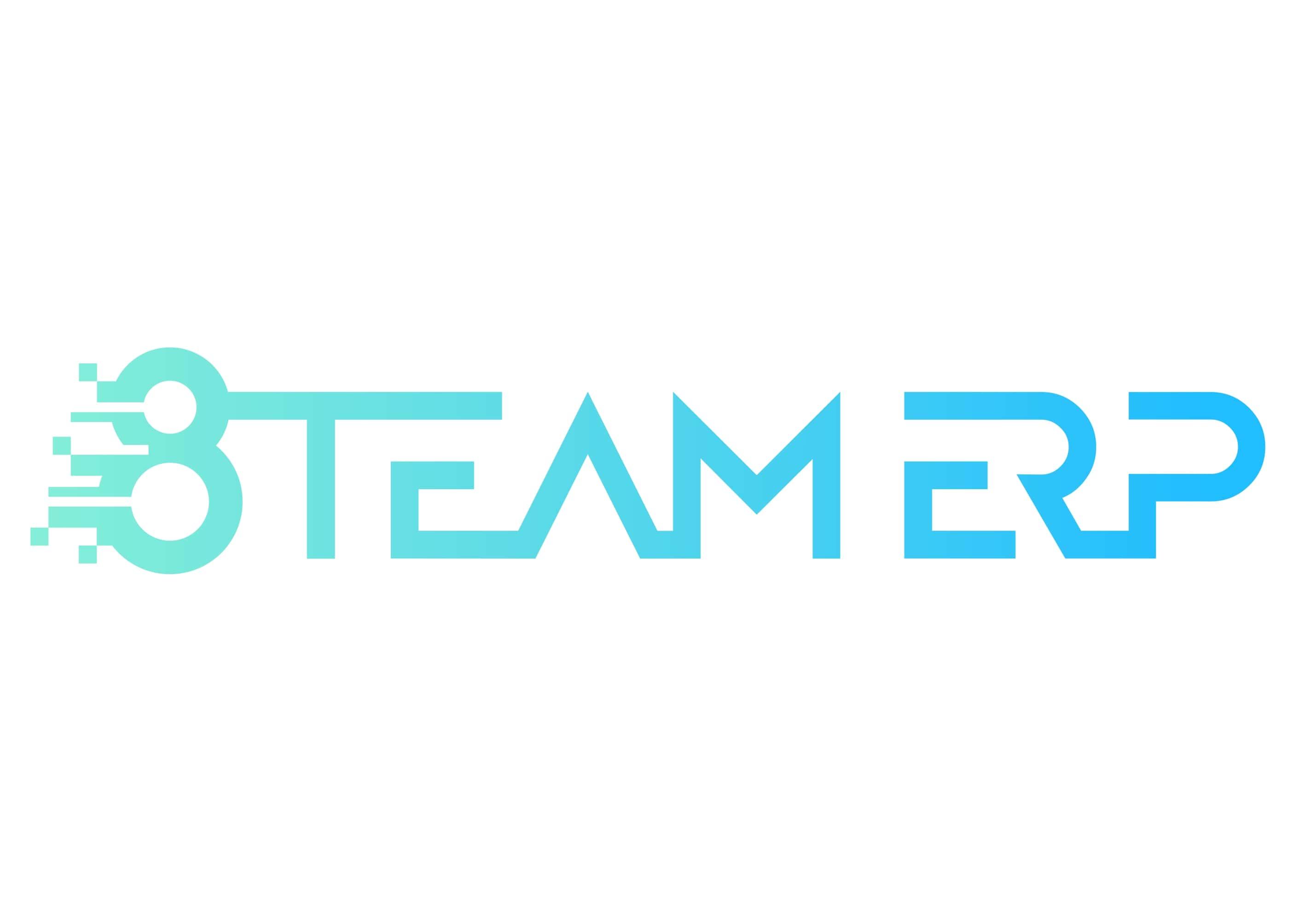 8TEAM ERP