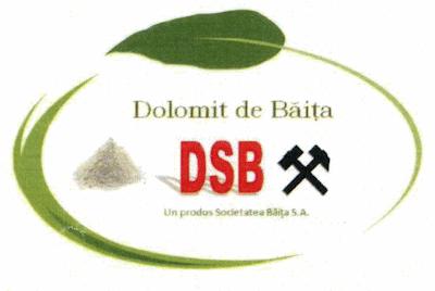 Dolomit de Băița DSB Un produs Societatea Băița S.A.