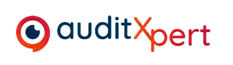 auditXpert