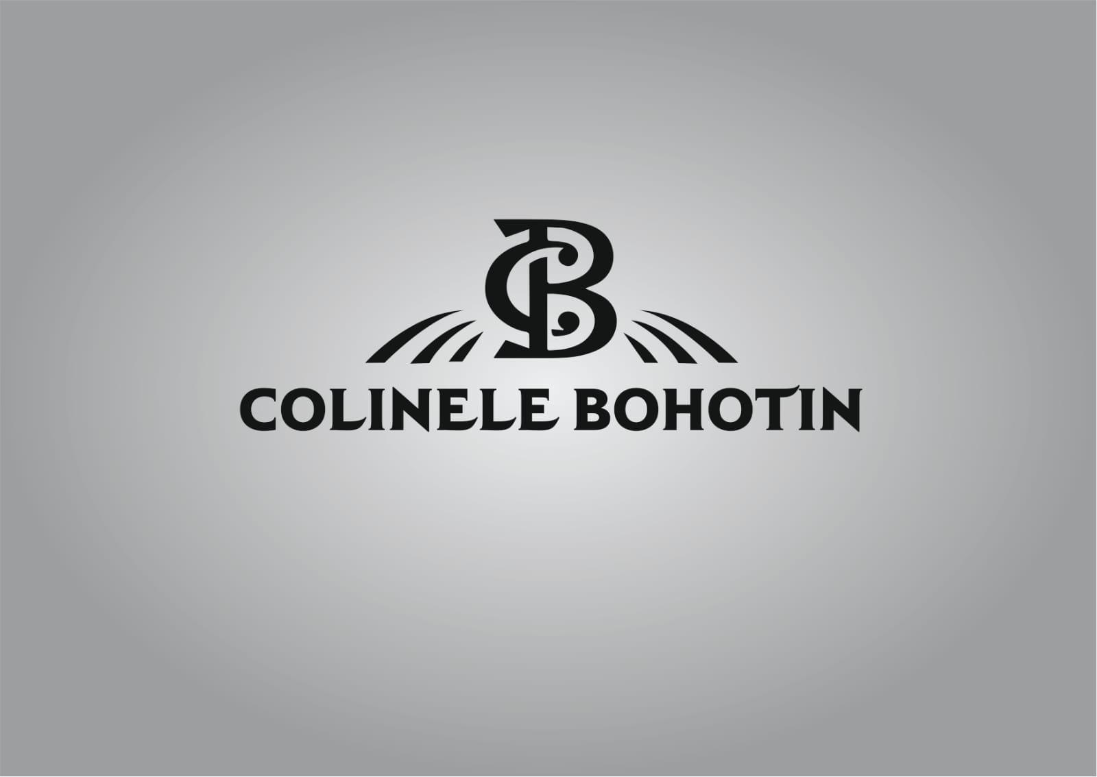 CB COLINELE BOHOTIN