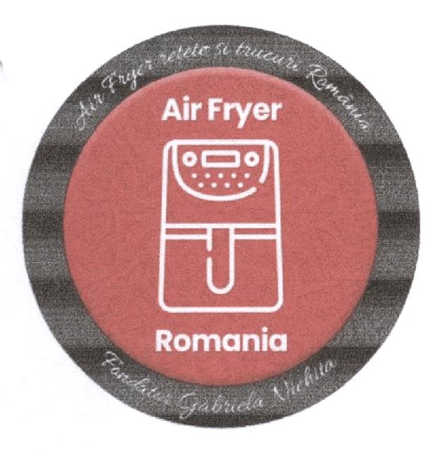 Air Fryer rețete și trucuri România Fondator Gabriela Nichita