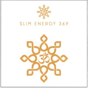 SLIM ENERGY 369