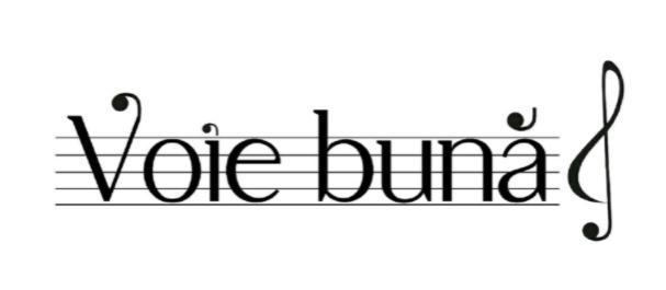 Voie bună