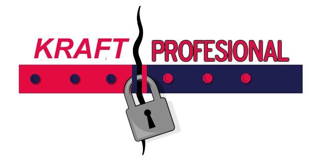 KRAFT PROFESIONAL