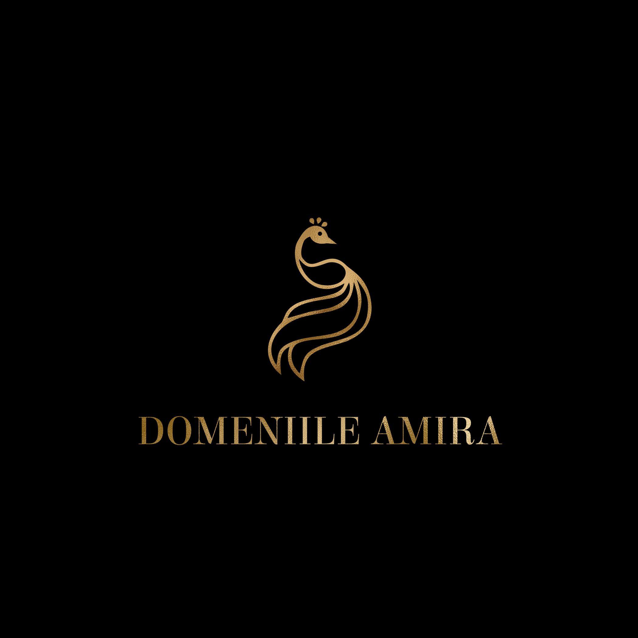 DOMENIILE AMIRA