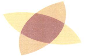 Marcă OSIM