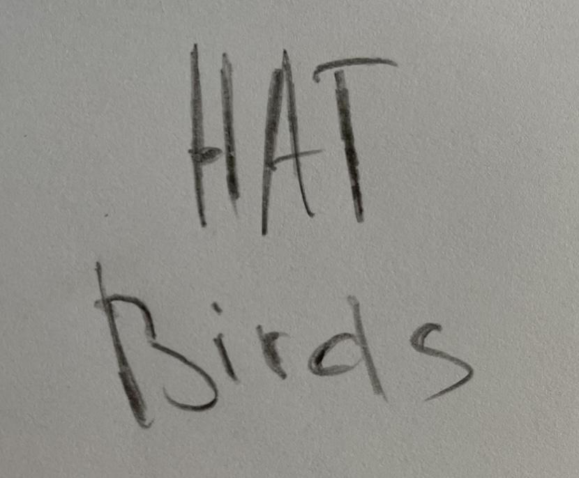 HAT Birds