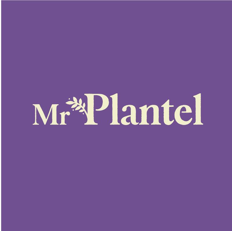 Mr Plantel