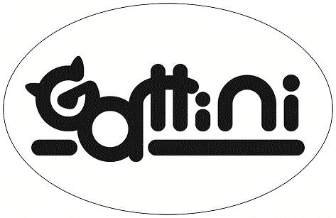 Gattini