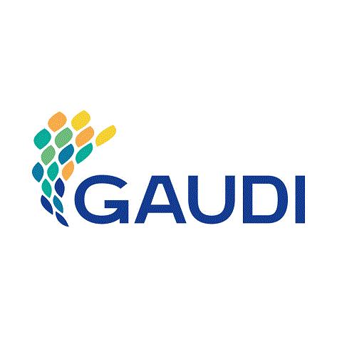 GAUDI