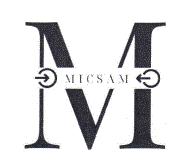 M MICSAM