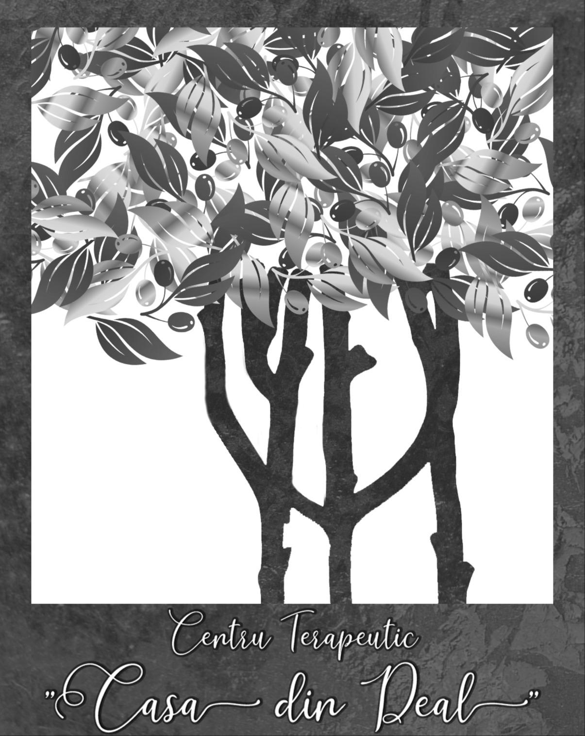 Centru Terapeutic "Casa din Deal"