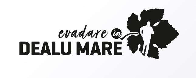 evadare în DEALU MARE