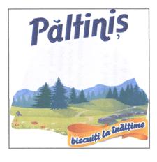 Păltiniș biscuiți la înălțime