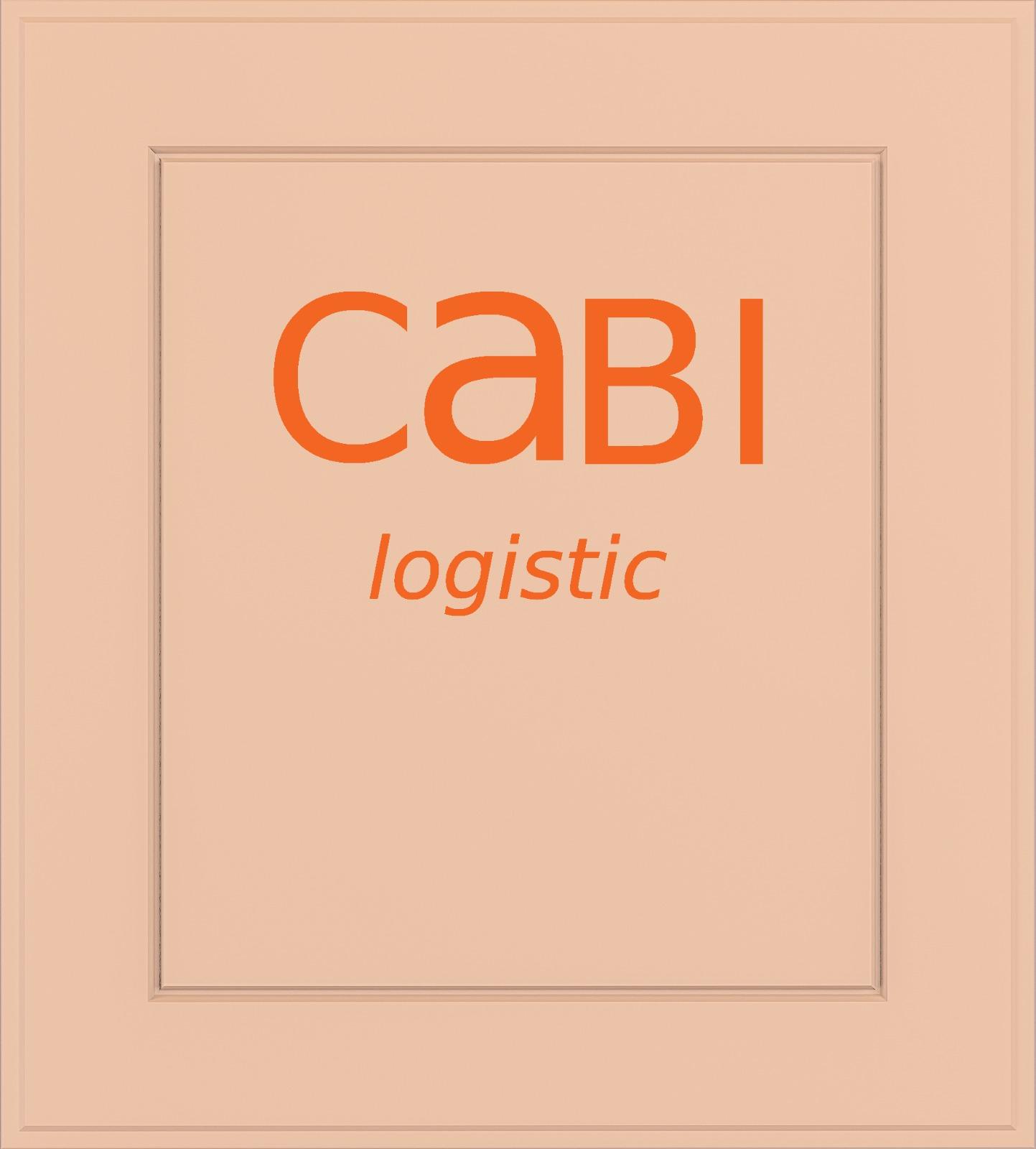 CaBI logistic