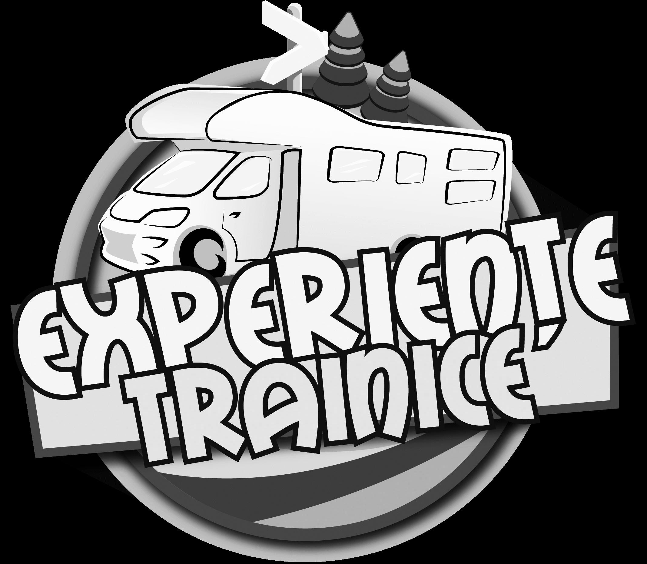 Experiențe trainice