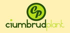 CP CIUMBRUDPLANT