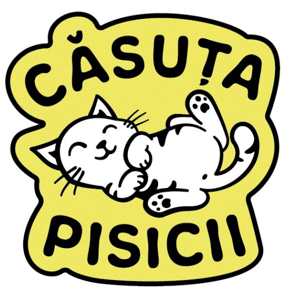 CĂSUȚA PISICII