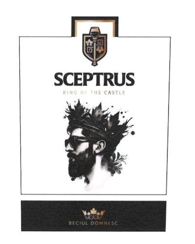 SCEPTRUS KING OF THE CASTLE BECIUL DOMNESC