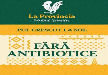 La Provincia Hrănit Sănătos PUI CRESCUT LA SOL  FĂRĂ ANTIBIOTICE