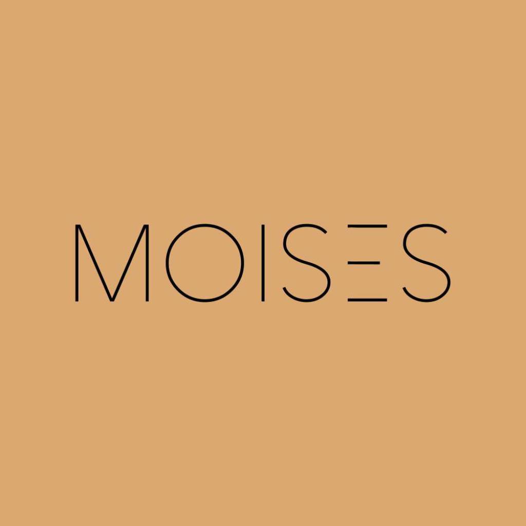 MOISES