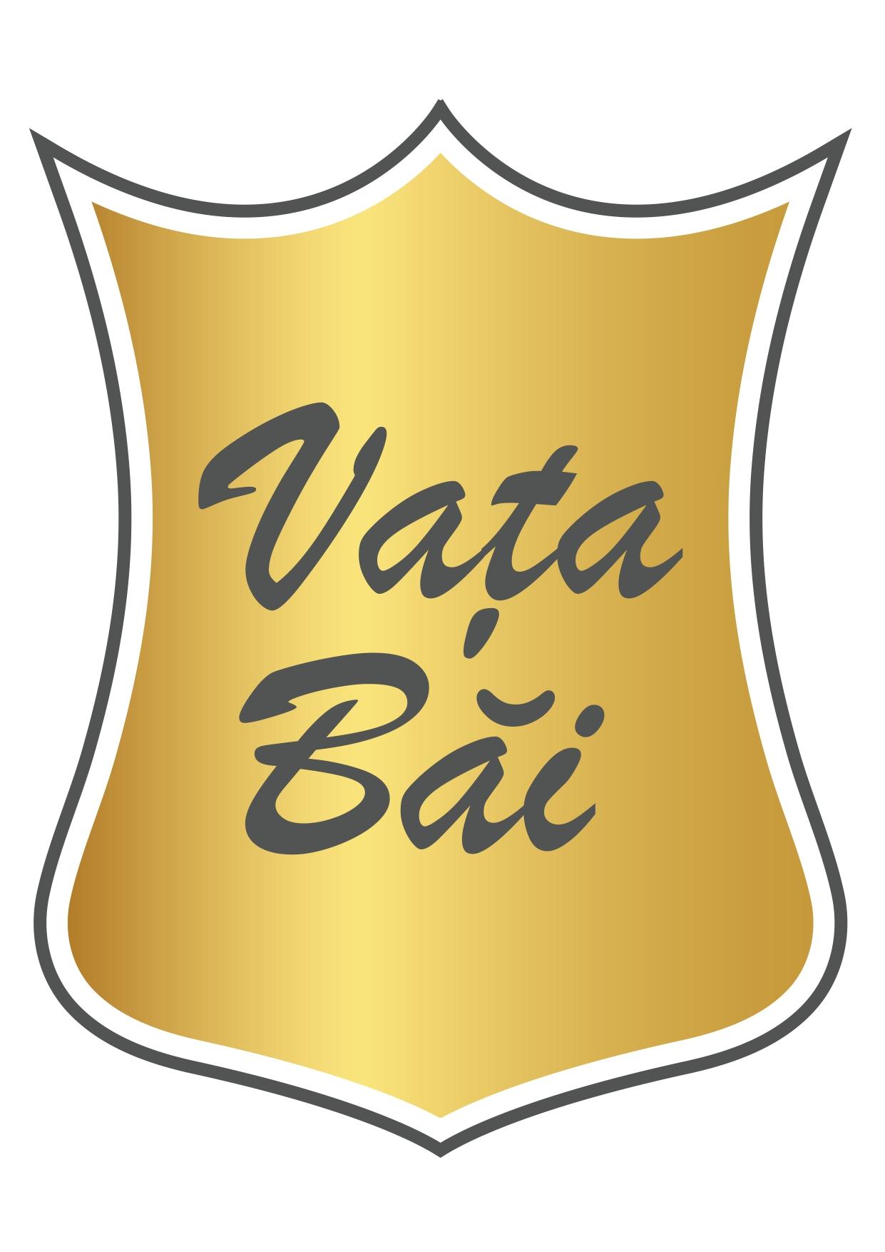 Vața Băi
