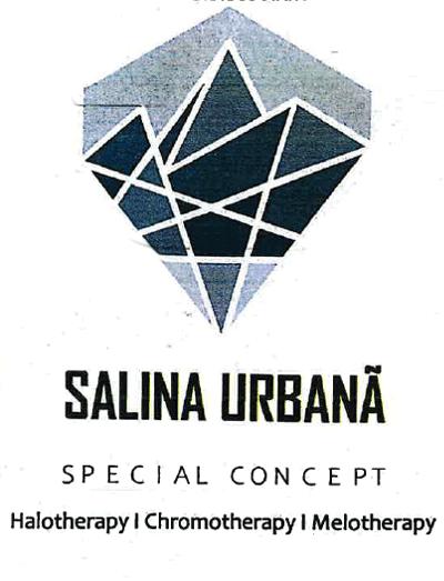 SALINA URBANĂ SPECIAL CONCEPT