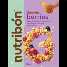 NUTRIBON Granola Berries fulgi de ovăz, miere, cireșe, merișoare,zmeură, mure, chia
