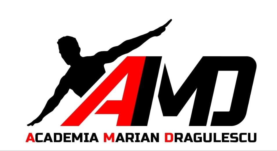 ACADEMIA MARIAN DRAGULESCU