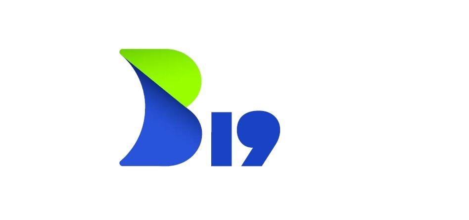 B19