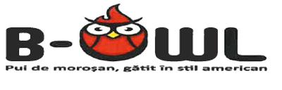 B-OWL Pui de moroșan, gătit în stil american