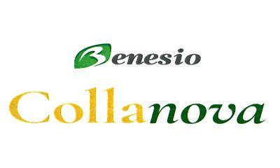 Benesio Collanova