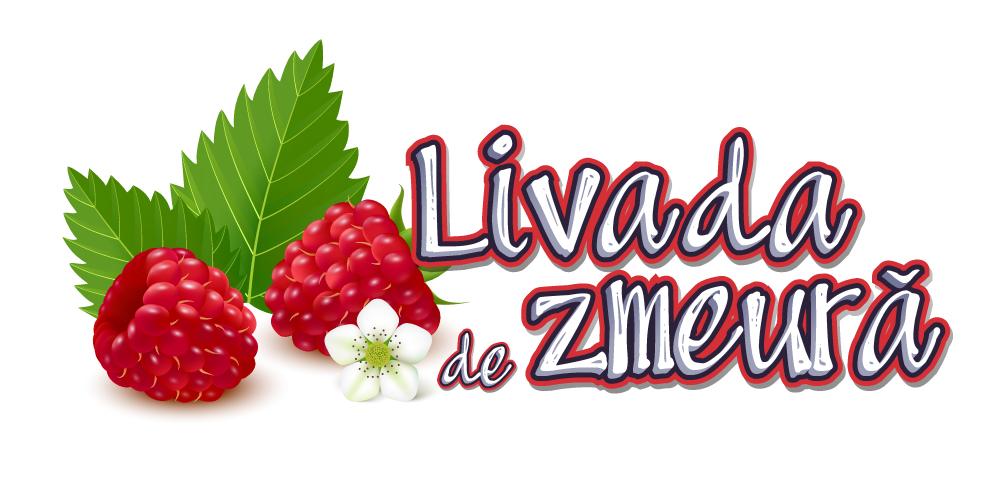 Livada de Zmeura