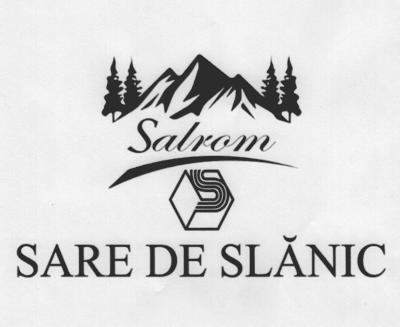 Salrom S SARE DE SLĂNIC