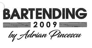 BARTENDING 2009 by Adrian Pincescu